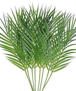 Yapay Areka Palmiyesi