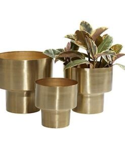 Gold Metal Saksı