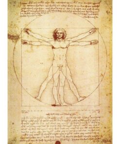 Leonardo Da Vinci Anatomist