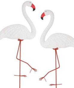 Beyaz Flamingo